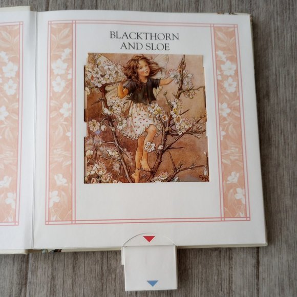 The Flower Fairies Changing Seasons: A Sliding Picture Book (Flower Fairies) - Picture 2 of 5